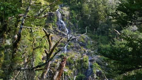 Tilt-down-shot-of-idyllic-waterfall-floating-down-the-green-mountains-of-New-Zealand