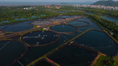 fish farm aerial view