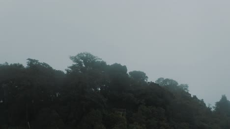 vuelo aéreo de drones hacia el bosque nuboso brumoso en la cumbre de las montañas en américa central