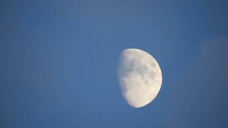 luna por la noche con nubes en tiempo real. 4k video luna en el cielo negro. nubes pasando por la luna por la noite. cielo nocturno con tiempo nublado