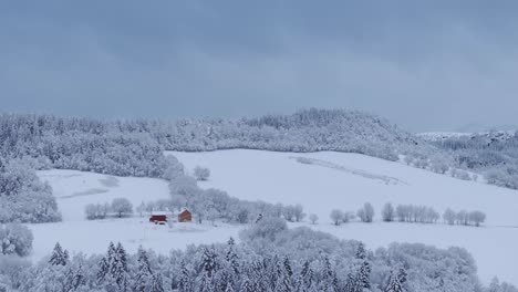 Cabins-With-Forest-Trees-Covered-With-Snow-During-Winter-In-Indre-Fosen,-Norway---Aerial-Shot