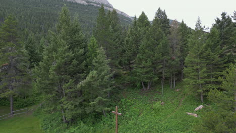 Cruz-De-Madera-En-El-Campus-Forestal-De-Un-Campamento-De-Verano-Cristiano