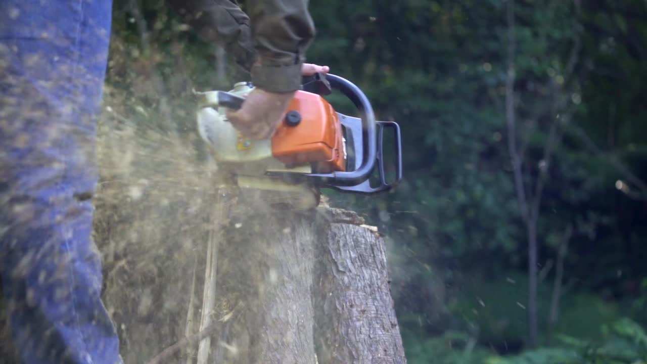 Man Cutting Wood with Chainsaw