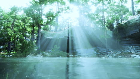 sunlight shining through trees in a forest by a lake