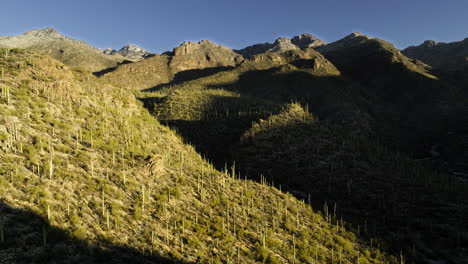 imágenes de drones volando sobre las colinas cubiertas de cactus en el desierto de sonora