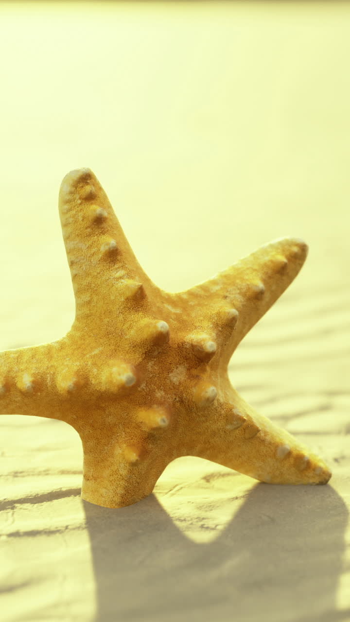 Golden starfish resting on a tranquil sandy beach at sunset