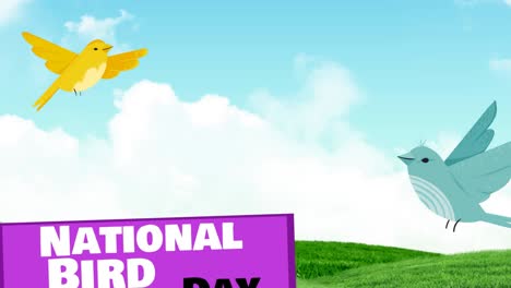 animación del texto del día nacional de las aves con dos pájaros volando sobre el césped y las nubes