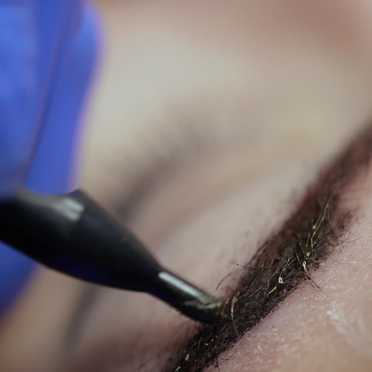 Professional needle applies tattoo on the skin in the eyebrow. Beauty industry. Close-up