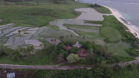 Pueblo-Local-En-La-Playa-De-Arena-A-Orillas-Del-Mar-Con-árboles-Tropicales-Y-Plantas-En-Sumba,-Antena