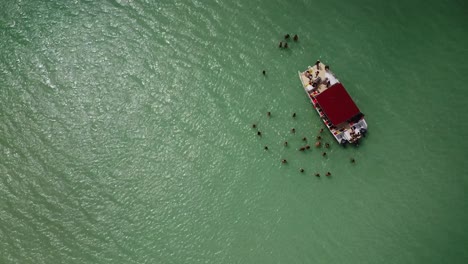 Hohe-Drohnenaufnahmen-In-Der-Nähe-Von-Touristenbooten-Im-Meer,-Wo-Menschen-Im-Türkisfarbenen-Meer-Stehen-Und-Das-Wasser-Dieser-Kleinen-Wellen-Genießen