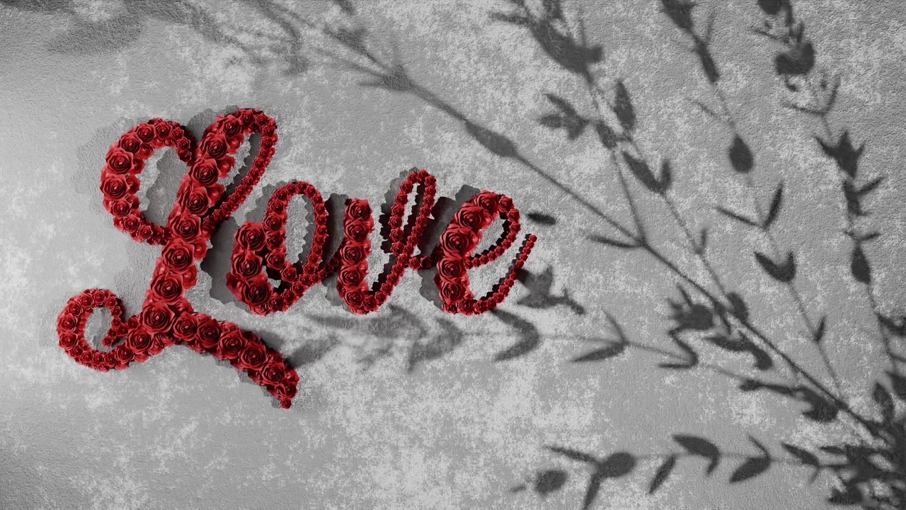 Znak lásky z červených růží na texturované bílé zdi se stíny rostlin. Romantické květinové aranžmá na Valentýna a oslavu.