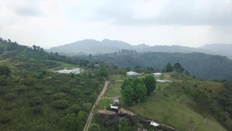 4k landscape of farming agricultural crops and green fields