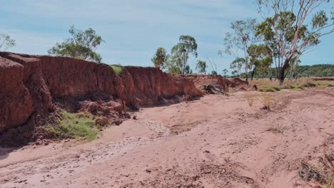 a red dirt eroded desert wall in the dusty and dry australian outback with blue sky and trees in the background.
