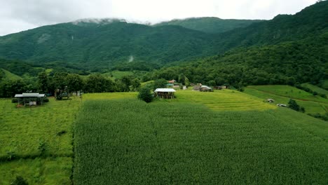 4K-Cinematic-nature-aerial-drone-footage-of-the-beautiful-mountains-and-rice-terraces-of-Ban-Pa-Pong-Piang-at-Doi-Ithanon-next-to-Chiang-Mai,-Thailand-on-a-cloudy-sunny-day