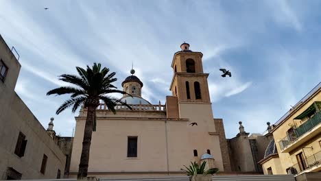 A-flock-of-birds-gracefully-soar-across-a-beautiful-summer-sky-in-a-scenic-urban-area-of-Spain