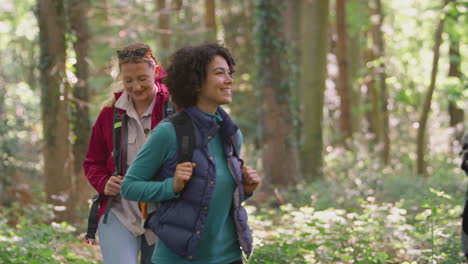 Group-Of-Young-Female-Friends-On-Camping-Holiday-Hiking-Through-Woods-And-Enjoying-Nature-Together