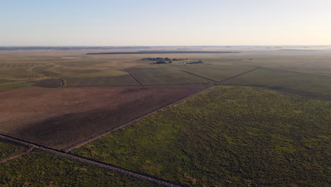 aerial view of an empty field