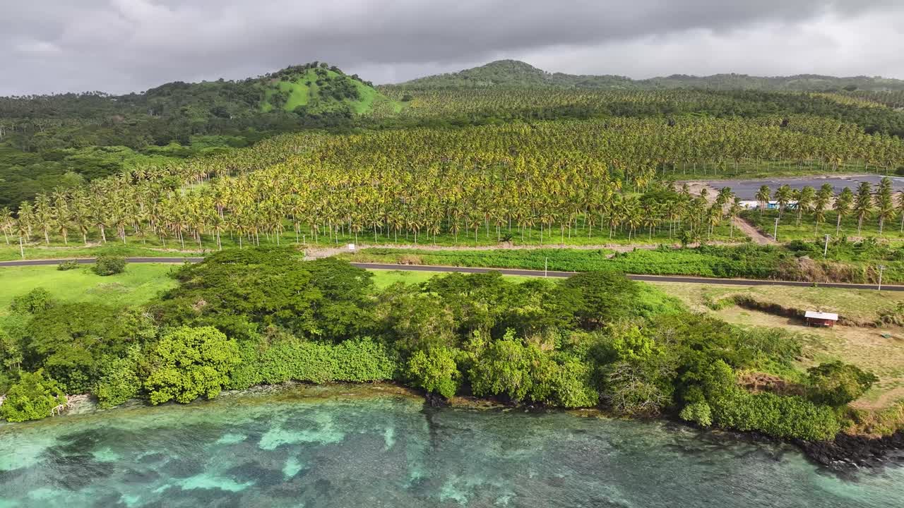 Palm tree plantation on Taveuni Island shore, Fiji. Tropical coastal with scenic road - aerial reveal
