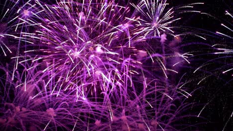 Colorful fireworks exploding in the night sky. Celebrations and events in bright colors.