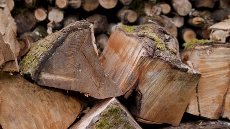Tight shot of a neatly stacked pile of split wood