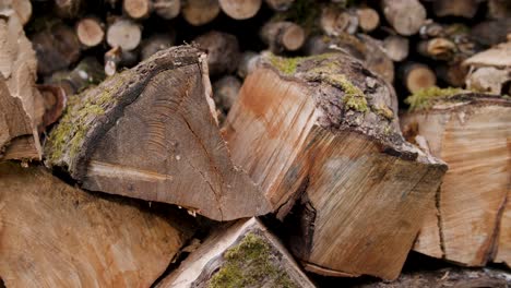 toma estrecha de una pila cuidadosamente apilada de madera partida