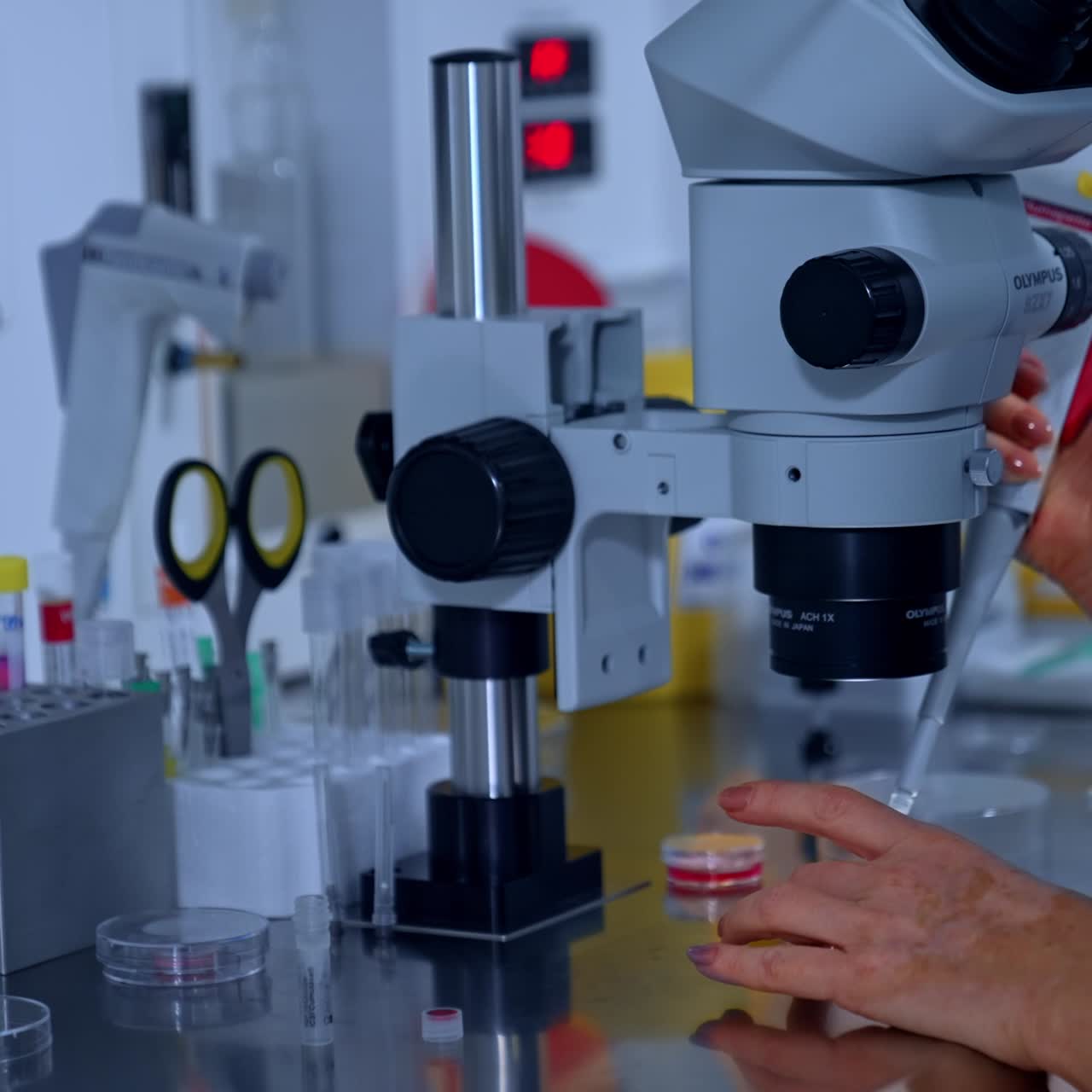 Process of in vitro fertilization in the modern laboratory. Cropped image of medic sitting at microscope looking at Petri dish