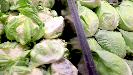 a vibrant display of broccoli, cauliflower, cabbage, and lettuce under bright supermarket lighting