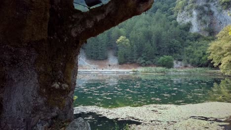 Plane-tree-in-foreground-at-beautiful-river-spring-in-Greece,-static