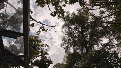 Cloudy skies in a garden