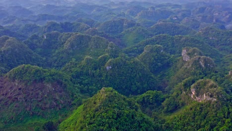 Distinct-conical-hills-of-limestone-in-Los-Haitises-National-Park,-aerial
