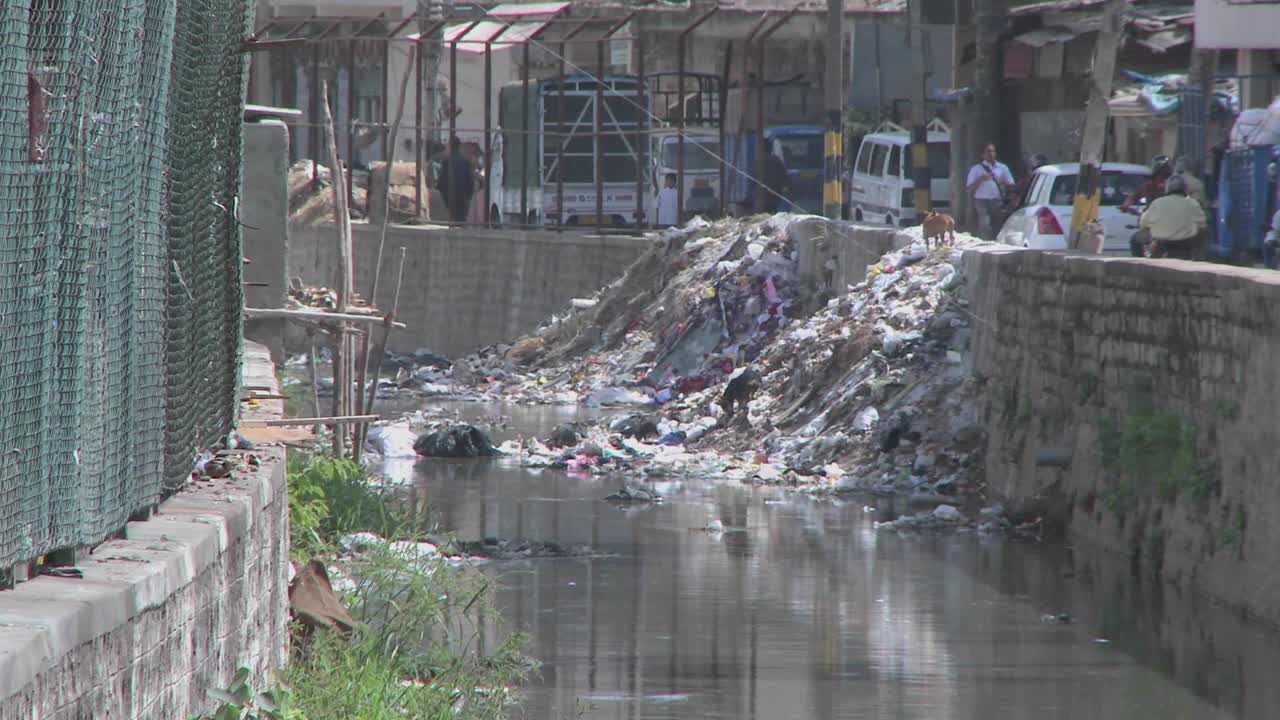 개는 벽에 버려진 쓰레기를 통해 걸어