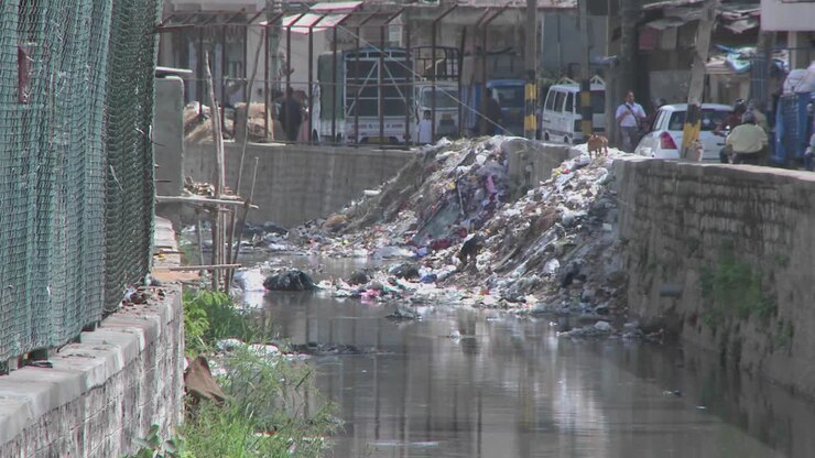 Dogs walk through garbage that has been dumped over a wall