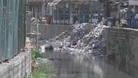 Dogs-walk-through-garbage-that-has-been-dumped-over-a-wall