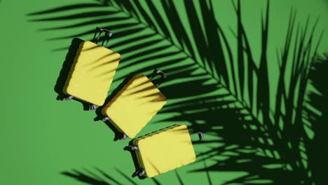 suitcases on tropical green background vertical