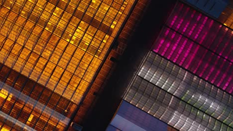 Aerial-shot-looking-down-on-colorful-greenhouses-at-night