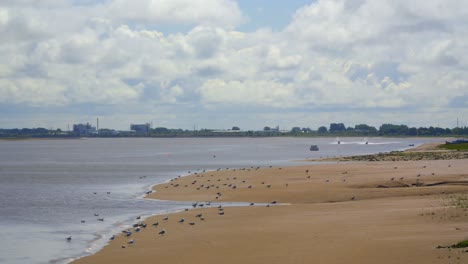 Marea-Entrando-En-El-Estuario-Del-Río-Con-Aves-Marinas-Alimentándose-A-Lo-Largo-De-La-Línea-De-La-Marea-Y-Motos-Acuáticas-Moviéndose-Arriba-Y-Abajo-Del-Río-Y-Nubes-Esponjosas-Que-Se-Mueven-Rápidamente