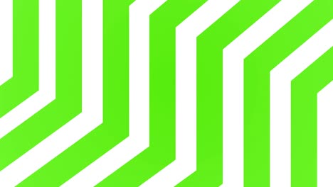 geometric line animation background loop green