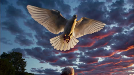 dove flying over a woman at sunset