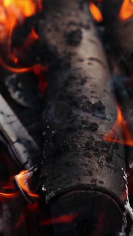 charcoal in orange flame. burning out wooden logs in campfire. embers of wood for barbecue. smoldered logs background. close-up. vertical video