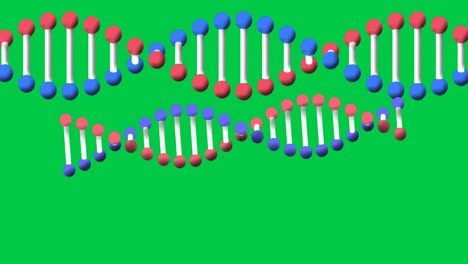 Animation-of-two-dna-strands-spinning-with-copy-space-over-green-screen