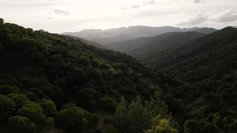 Spanish-mountains-overgrown-with-lush-forest-and-morning-mist,-aerial-view