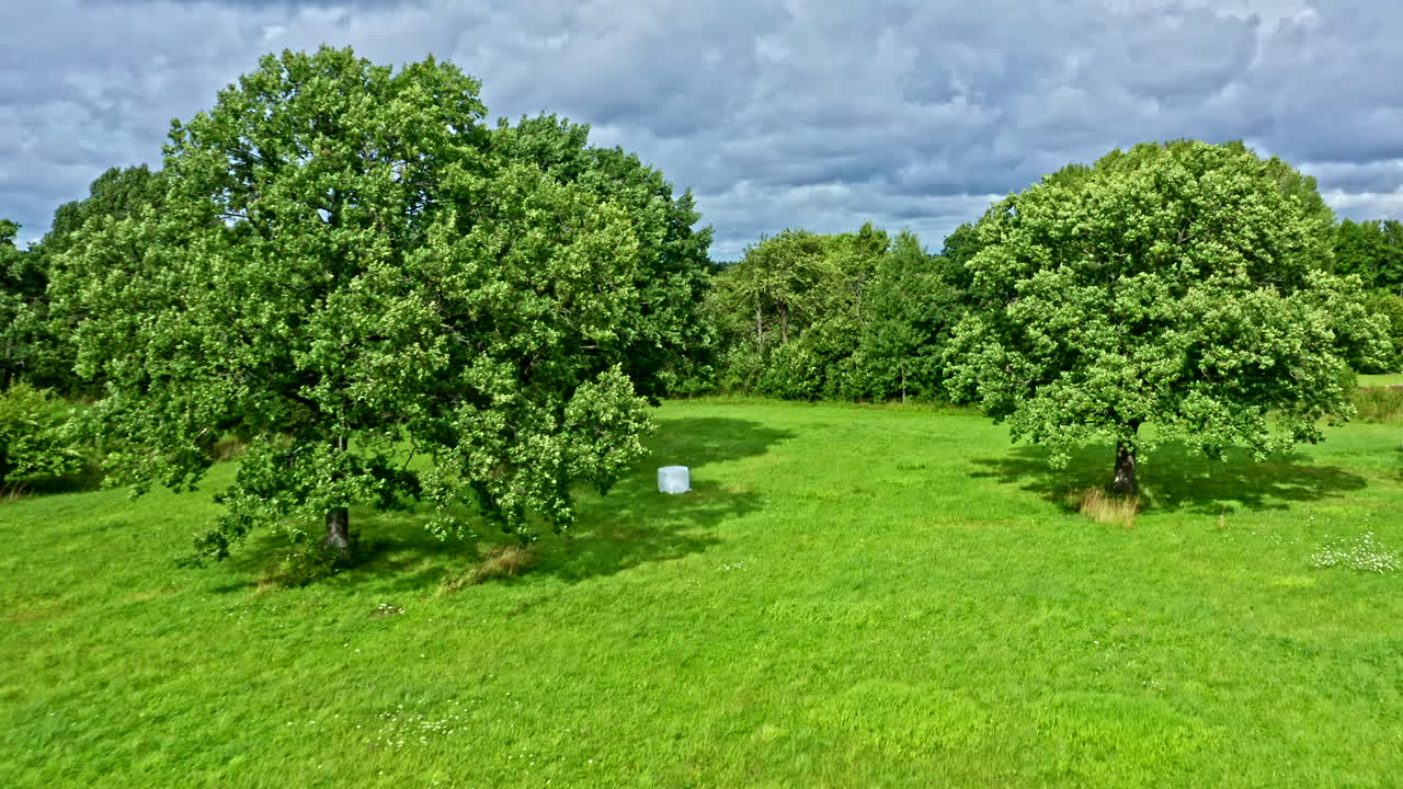 Drone Flying Between Trees on Green Field with White Bales of Stwaw - Dolly Shot