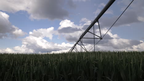 pivot irrigation system in a field of corn