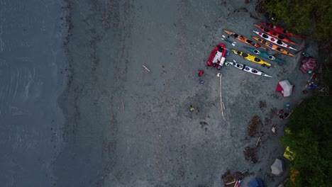 hermosa vista de pájaro de arriba hacia abajo alejándose de kayaks y kayakistas en una playa de arena en kyuquot sound, isla de vancouver, bc
