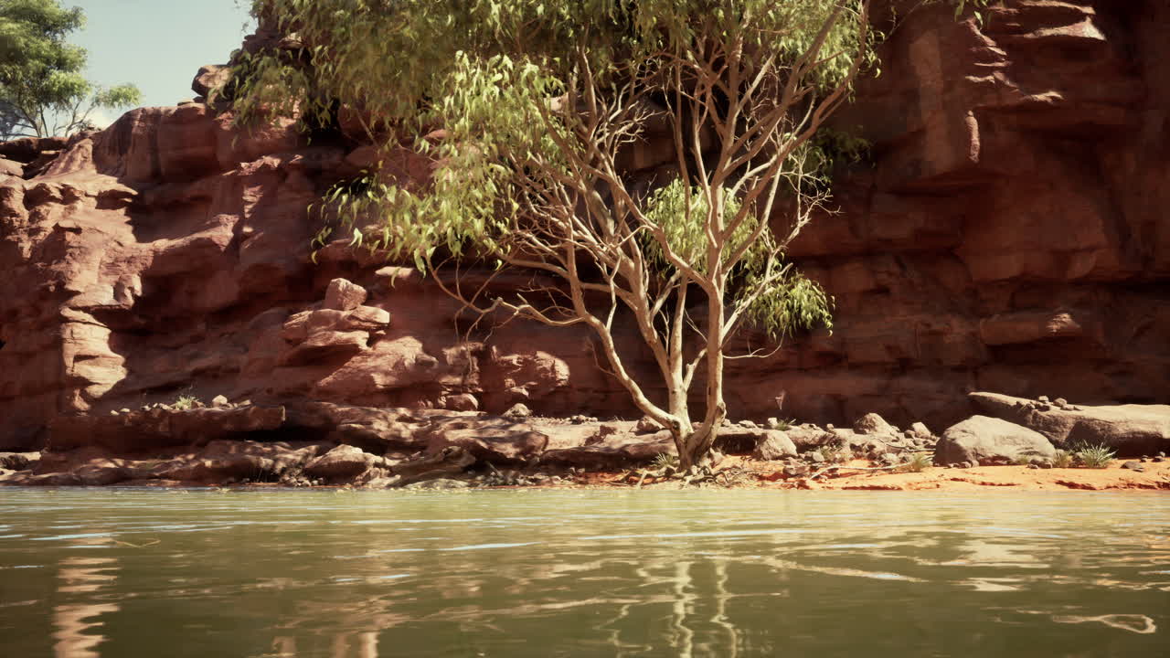 Scena di un fiume nel deserto