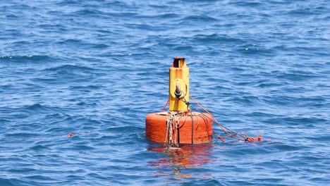 buoy floating in the sea, naples, italy