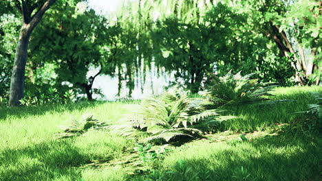 Green-lawn-with-large-courtyard-at-the-morning-sun