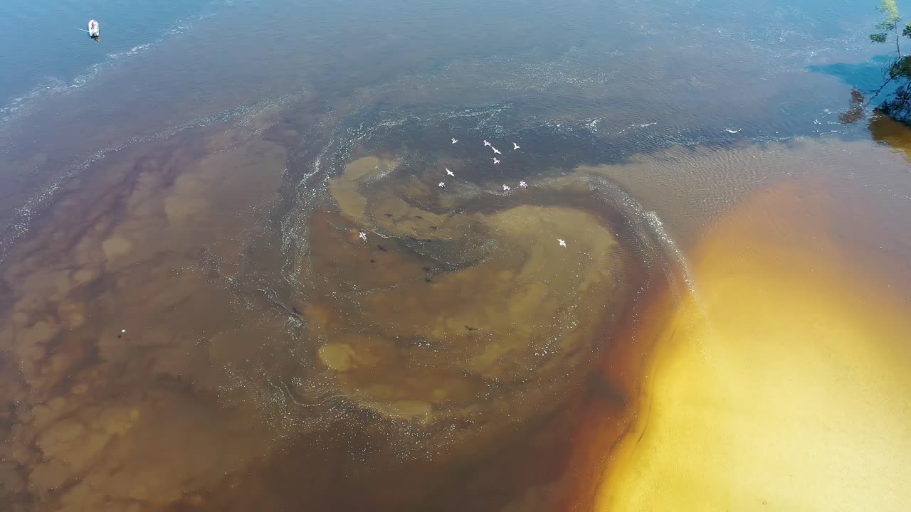 paisaje natural de la selva amazónica