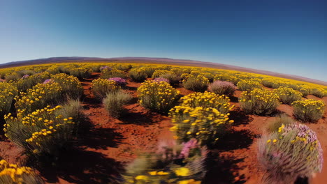 vast desert landscape with colorful wildflowers under a clear blue sky