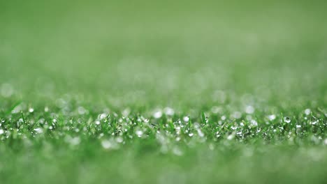 shallow depth of field on green golf course grass with morning dew